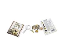 British Fossils Science Paleontology Model Dig Figures Kids La mia collezione di