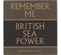 British Sea Power - Remember Me