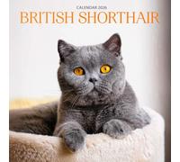 British Shorthair 2026 Calendar: Charming Cats & Cozy Companions