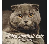 British Shorthair Cats Calendar 2026: 12 Months Organizer From January to December