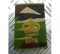 British Woodland DPM Camo SPS Rank Slides Assorted Ranks