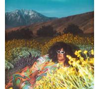 Brittany Howard WHAT NOW (Vinyl LP) 12" Album