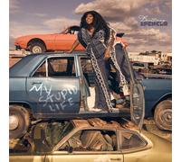 Brittney Spencer My Stupid Life (Vinyl LP) 12" Album