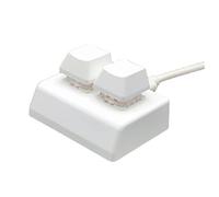 BRIUERG 2 Tasti Macro Programmazione Tastiera RGB Mini Tastiera Gaming Disegno Interruttore Rosso Tastiera Personalizzata OSU Gaming Keypad, Bianco