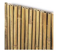 ARELLA ARELLE MASTER BAMBOO CON LEGATURA DI ACCIAIO 2X3 MT