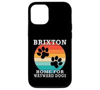 Brixton Home For Wayward Dogs Cognome Custodia per iPhone 12/12 Pro