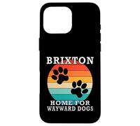 Brixton Home For Wayward Dogs Cognome Custodia per iPhone 16 Pro Max