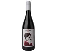 Briziarelli Don Brizio Umbria IGT Rosso 2022 0,75 ℓ