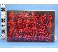 Brizzolari 70 pz. Coccarde Stelle Grandi 19mm Autoadesive Rosso Metallizzato 04