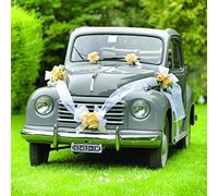 Brizzolari- Kit Decorazione Auto Sposi, con Coccarde Giallo e Nastro Bianco, Colore, 004938_02