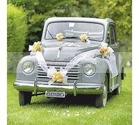 Brizzolari- Kit Decorazione Auto Sposi, con Coccarde Tiffany e Nastro Bianco, Colore, 004938_29