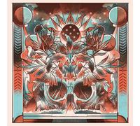 Broadside Hacks The Broadside Hack - Live from Real World (Vinyl LP) 12" Album