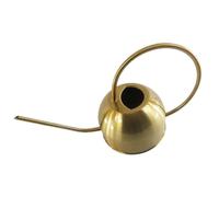 Brocca d'acqua da 1,5 litri, attrezzi per annaffiare le piante da appartamento con manico