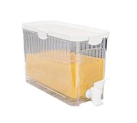 Brocca per acqua fredda con coperchio e filtro per conservare in frigorifero e infusione di bevande fresche