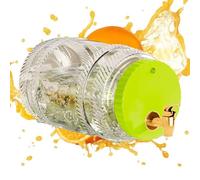 Brocche per Acqua | 11,22 Pollici Avilia Dispenser | Caraffa con Manico per Bevande Frutta Fredda | Per Casa Cucina Frigo Estate Picnic Uso Quotidiano fuori porta