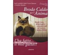 Brodo caldo per l'anima. L'ha fatto... il mio gatto!?