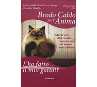 Brodo caldo per l'anima. L'ha fatto... il mio gatto!?