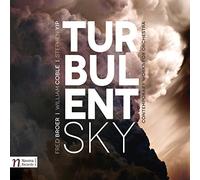 Broer/ Moravian Philharmonic Orchestra/ Muzik - Turbulent Sky