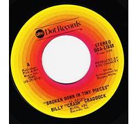 BROKEN DOWN IN TINY PIECES / SHAKE IT EASY (45/7")