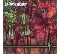 Broken Silence - John Kaizer (UK Import)