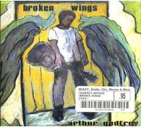 Broken Wings by Godfrey, Arthur (2008-05-20)