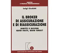 Broker Di Assicurazione E Di Riassicurazione