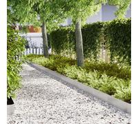 Brokky 3335778 bordature per prato 50 pezzi 100x0,5x20 cm in acciaio inox Bordatura da Giardino,Bordo di separazione Resistente,Recinzione Flessibile per Prato,per Giardino Piante orto