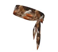 BROLEO Foulard sportivo con stampa di due gattini, assorbe il sudore e traspirante, fascia per capelli con movimento, fazzoletto su entrambi i lati