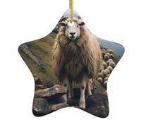 BROLEO Little Sheep on the Hillside Pattern Christmas Ceramic Star Pendant Ornament Easy to Hang, molto adatto per decorare alberi di Natale