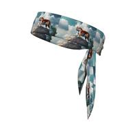 BROLEO Majestic Tiger Resting on a Rock con Cloudy Sky Prints Foulard sportivo, assorbe il sudore e traspirante, fascia per capelli movimento, fazzoletto su entrambi i lati