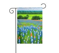 BROLEO Texas Bluebonnets Scenery Printing Garden pennone esterno cortile decorazione moda 30,5 x 45,7 cm