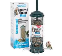 Brome - Bird+Care - Squirrel Buster, Mangiatoia per uccelli