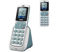 Brondi Amico Home - Telefono Cellulare Dual SIM Display 1.77 Batteria 600 mAh con Tasti Grandi SOS Radio FM e Bluetooth Colore Argento - 10276071