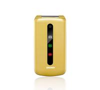 Brondi President Gold