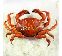 Bronx the - Mariachi El Bronx