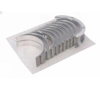 NEC Kit cuscinetto albero a gomiti 180121001600 per M31 2.998 2013-2016