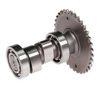 Bronzina albero motore J101100 GXMOTOR