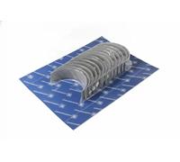 Kolbenschmidt Kit cuscinetto albero a gomiti 77710610 per Scania 4
