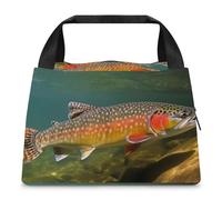 Brook Borsa per il pranzo per la pesca a mosca della trota, per donne e uomini, riutilizzabile, borsa termica per il pranzo, grande capacità, contenitore per il pranzo, per lavoro, ufficio, picnic
