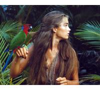 Brooke Shields [1001596] 8x10 Foto (Altre Misure Disponibile)