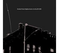 Brooklyn Pirates: Neighbourhoods in the Sky, 2014-2021