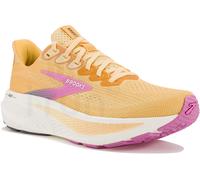 Brooks Ghost 17 41