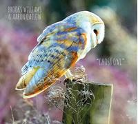 Brooks Williams & Aaron Catlow Ghost Owl (CD) Album