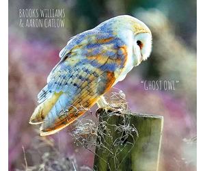 Brooks Williams & Aaron Catlow Ghost Owl (CD) Album