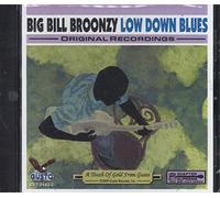 Broonzy, Big Bill - Low Down Blues