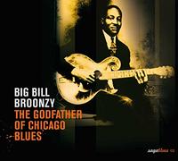 Broonzy,Big Bill - The Godfather of Chicago Blues