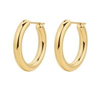 Brosway Orecchini a cerchio AURA BAU25 – grandi lisci in acciaio color oro (4605)
