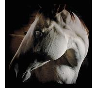 Brother Dege How to Kill a Horse (CD) Album Digipak