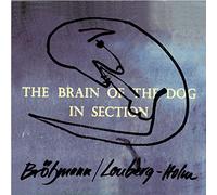 Brotzmann/Lonberg-Ho - Brain Of The Dog In Section