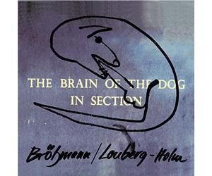 Brotzmann/Lonberg-Ho - Brain Of The Dog In Section
